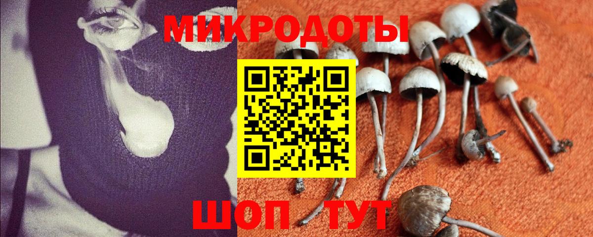 Галлюциногенные грибы ЛСД Сухой Лог